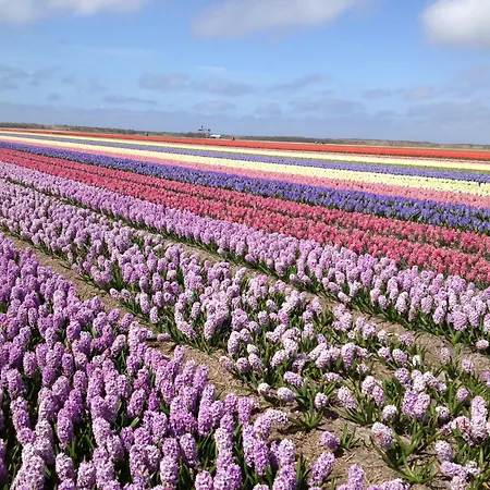 De Korre 4 Holiday home