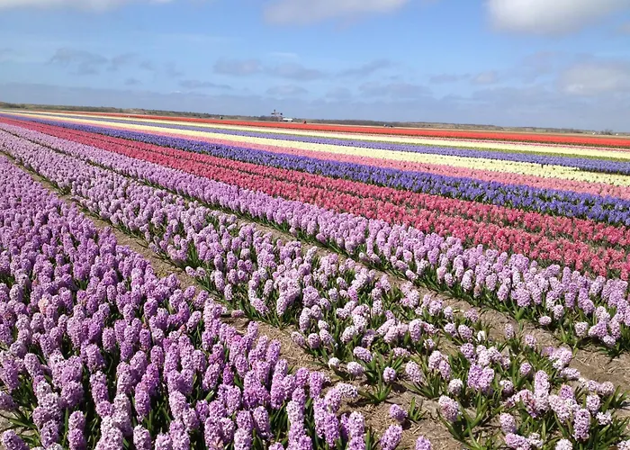 De Korre 4 Casa vacanze